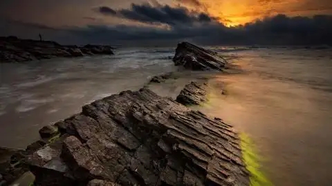 辉达娱乐